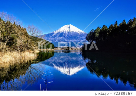 静岡 富士山〜田貫湖からの逆さ富士〜 静岡 富士山〜田貫湖からの逆さ富士〜 72289267