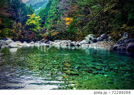 長野県大桑村　阿寺渓谷　秋の紅葉 72289268