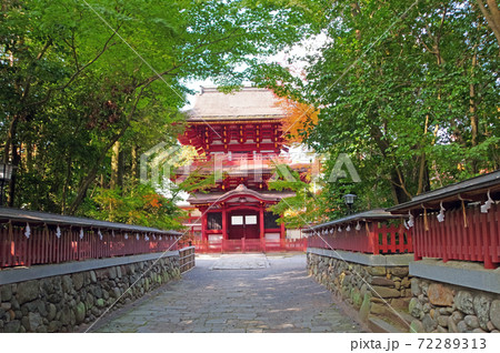中津市薦神社の国指定重要文化財の朱塗りの神門 72289313