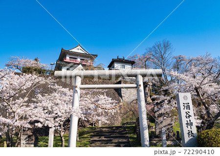 涌谷城満開の桜とお城の写真素材