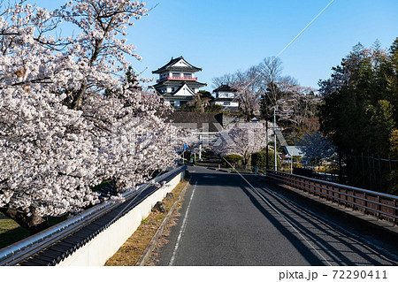 涌谷城満開の桜並木とお城の写真素材