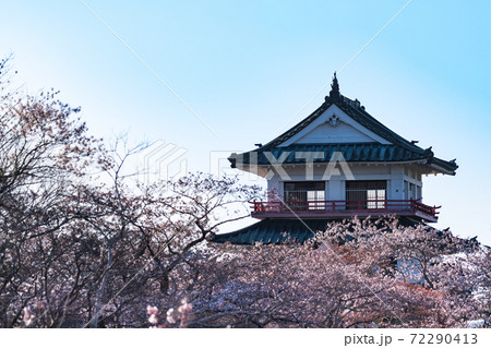 涌谷城満開の桜とお城の写真素材 涌谷城満開の桜とお城の写真素材