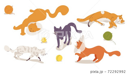 Injured and sufferer cats with prosthesis and protective cone collars isolated on white. Cartoon kitten characters playing, laying down, good for vet clinic and veterinarian Injured and sufferer cats with prosthesis and protective cone collars isolated on white. Cartoon kitten characters playing, laying down, good for vet clinic and veterinarian 72292992