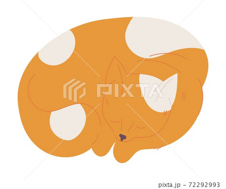Small ginger cat sleeping isolated on white. Cartoon character with white spots Small ginger cat sleeping isolated on white. Cartoon character with white spots 72292993
