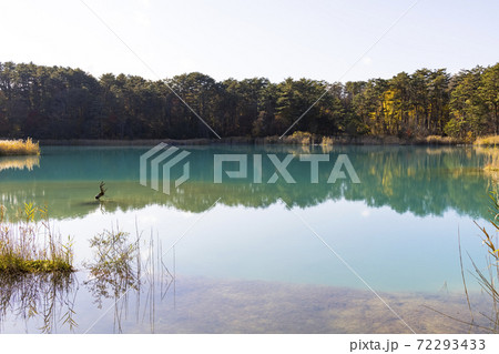 裏磐梯, 五色沼湖沼群, 弁天沼 裏磐梯, 五色沼湖沼群, 弁天沼 72293433