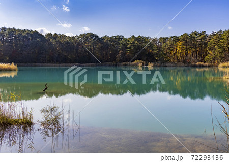 裏磐梯, 五色沼湖沼群, 弁天沼 72293436