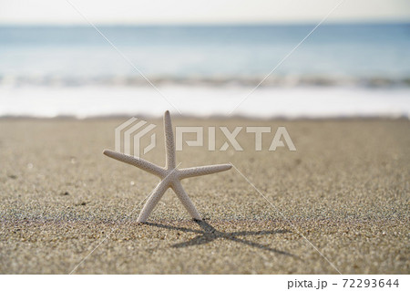 砂浜のヒトデ【海のイメージ】 72293644