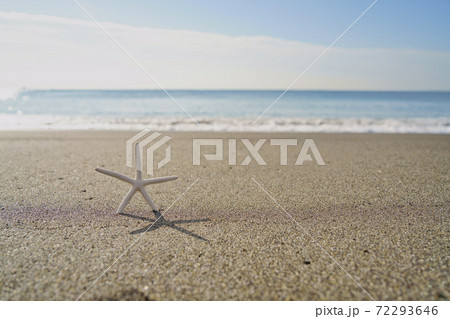 砂浜のヒトデ【海のイメージ】 72293646