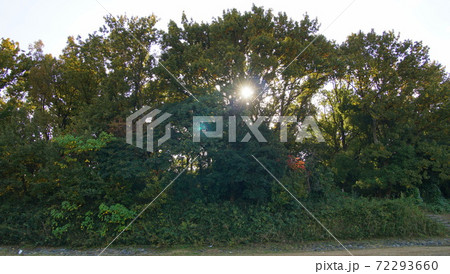 今城塚古墳　墳丘 72293660