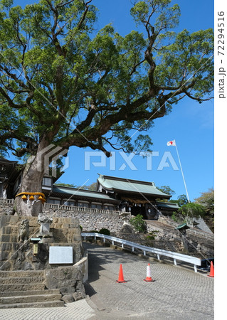 長崎の諏訪神社にある病魔退散大楠 72294516