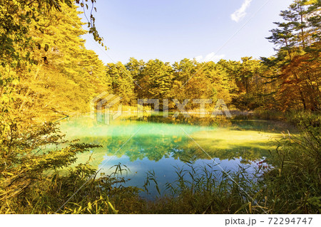 裏磐梯, 五色沼湖沼群, 青沼 72294747