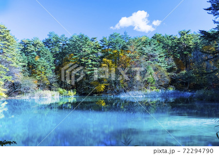 裏磐梯, 五色沼湖沼群, 青沼 72294790