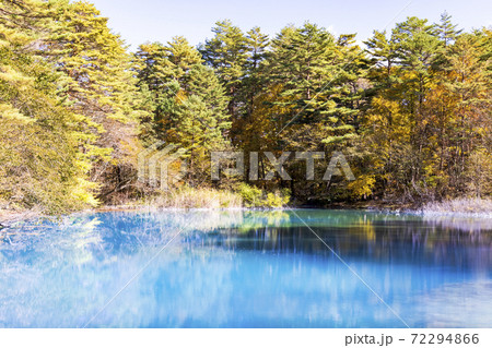 裏磐梯, 五色沼湖沼群, 青沼 72294866