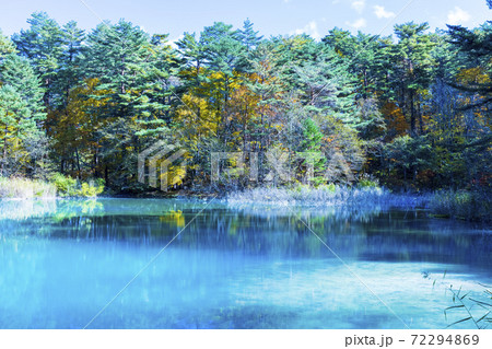 裏磐梯, 五色沼湖沼群, 青沼 裏磐梯, 五色沼湖沼群, 青沼 72294869