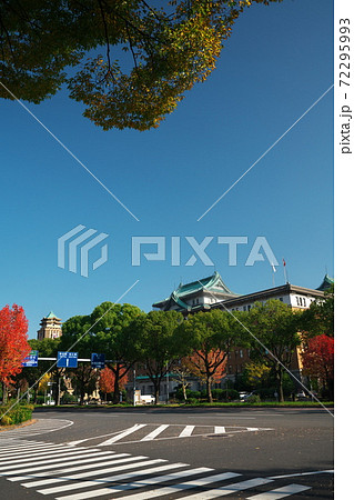 秋空の名古屋市役所庁舎と愛知県庁舎 秋空の名古屋市役所庁舎と愛知県庁舎 72295993