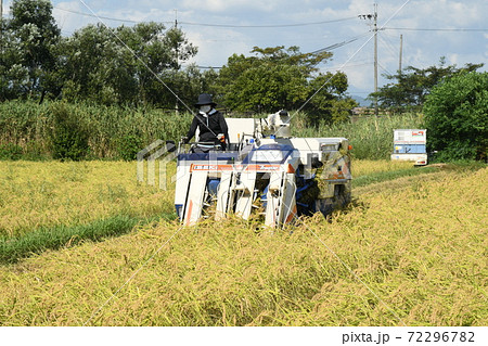 稲刈り風景 72296782