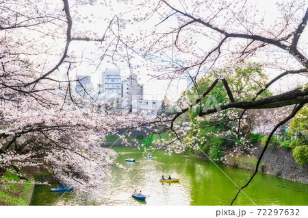 九段坂そばの桜 九段坂そばの桜 72297632
