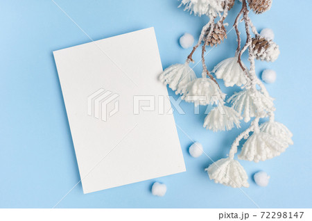 Mock up of Eucalyptus leaves and cotton plant with place for text on blue background. Wreath made of branches, cones. Flat lay, top view Mock up of Eucalyptus leaves and cotton plant with place for text on blue background. Wreath made of branches, cones. Flat lay, top view 72298147