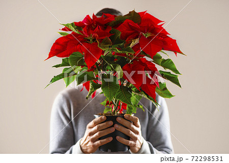 man holding a poinsettia plant man holding a poinsettia plant 72298531