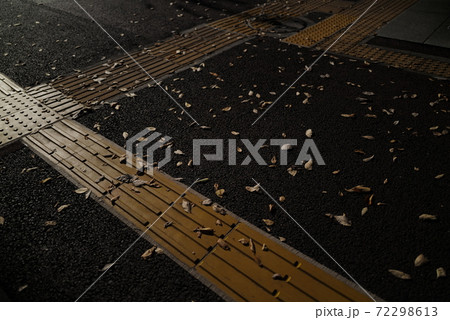 歩道に舞い散ったイチョウ 歩道に舞い散ったイチョウ 72298613