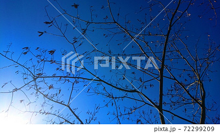 秋から冬の美しい青空 72299209