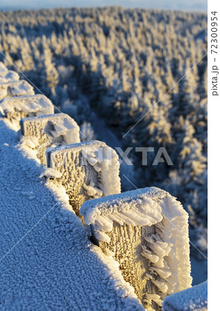 Lookout tower, Velka Destna, Orlicke mountains, Eastern Bohemia, Czech Republic 72300954