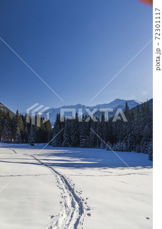 winter landscape nearby Zverovka, Western Tatras (Rohace), Slovakia winter landscape nearby Zverovka, Western Tatras (Rohace), Slovakia 72301117