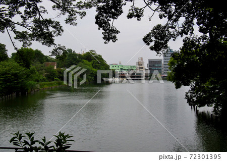 東京都大田区南千束にある洗足池公園 遠景にボート乗り場を望む 東京都大田区南千束にある洗足池公園 遠景にボート乗り場を望む 72301395