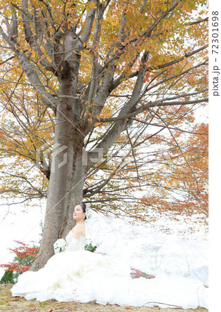 写真だけの結婚式ウエディングフォト☆新婦 72301698