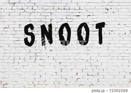 Word snoot painted on white brick wall 72302269