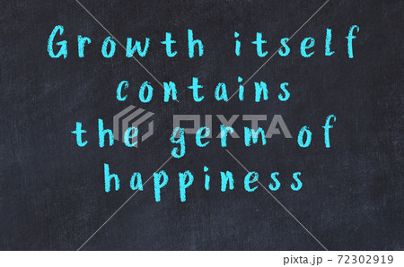 Chalk wise inscription on black chalkboard 72302919