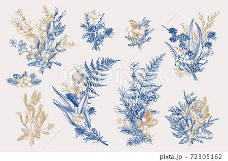 Winter set. Floristic bouquets. 72305162