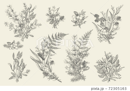 Forest bouquets. Floral arrangements. Forest bouquets. Floral arrangements. 72305163