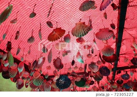 Lungomare promenade through Icici with seashells attractive decorations, Kvarner bay, Croatia 72305227
