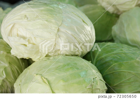 Heads of white cabbage close up. Heads of white cabbage close up. 72305650