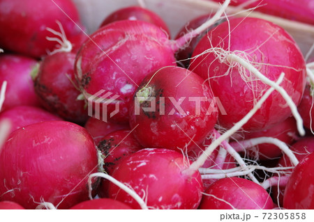 Pile of fresh ripe radishes close up. Pile of fresh ripe radishes close up. 72305858
