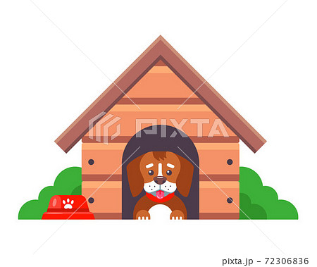 city farmers dog house