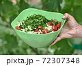 Vegetable salad of tomatoes and cucumbers in a green bowl on a green background 72307348