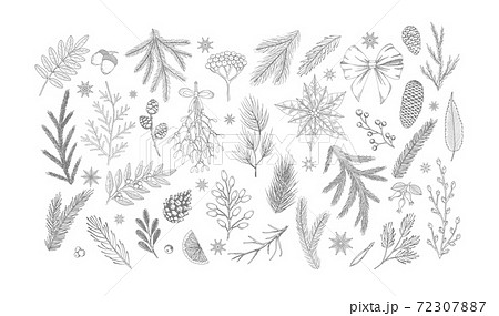 Set Christmas vector plants, holly berry, christmas tree, pine, leaves branches, holiday decoration isolated on white background. 72307887