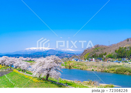 東北の桜の名所　一目千本桜　【宮城県】 72308226