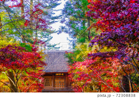 山門と紅葉の森 72308838