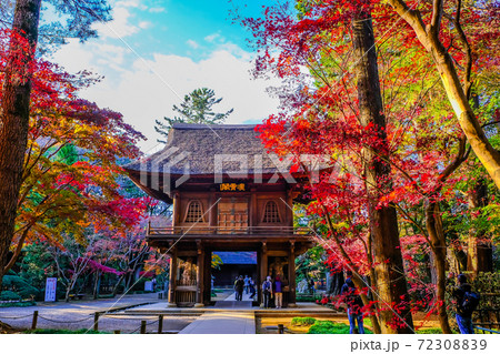 紅葉と平林寺山門 紅葉と平林寺山門 72308839