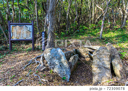 根曽古墳群　【長崎県対馬市】 72309078