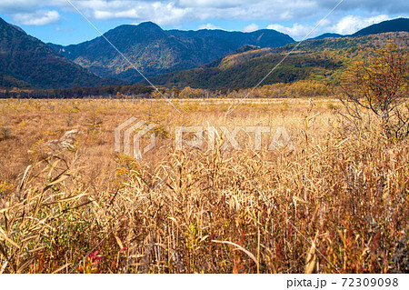 日光 国道120号沿い 戦場ヶ原 紅葉景色 秋景色 日光 国道120号沿い 戦場ヶ原 紅葉景色 秋景色 72309098