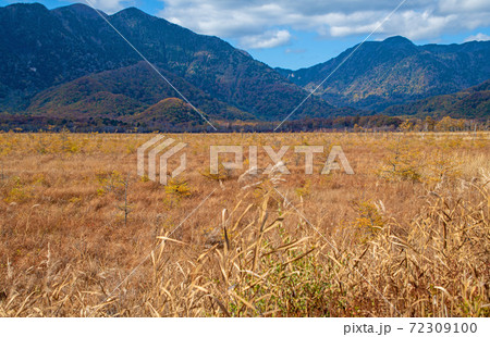 日光　国道120号沿い　戦場ヶ原　紅葉景色　秋景色　　 72309100