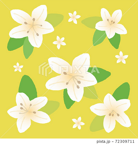 白いツツジのイラストのイラスト素材