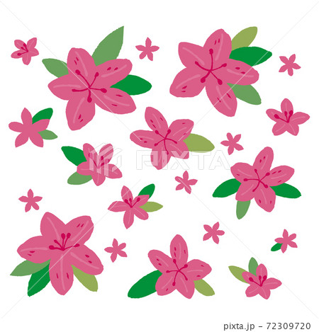 ピンクのツツジのイラストのイラスト素材