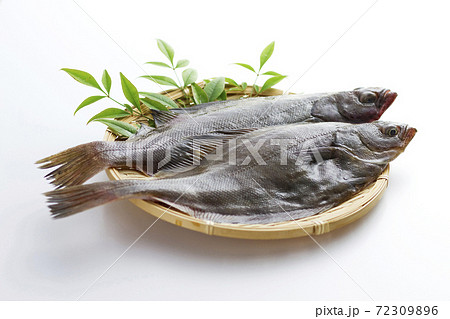 宗八カレイ1 72309896