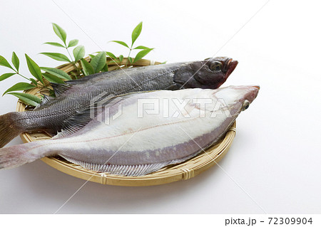 宗八カレイ17 宗八カレイ17 72309904