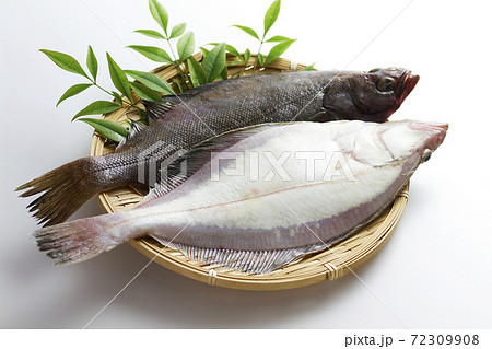 宗八カレイ20 72309908